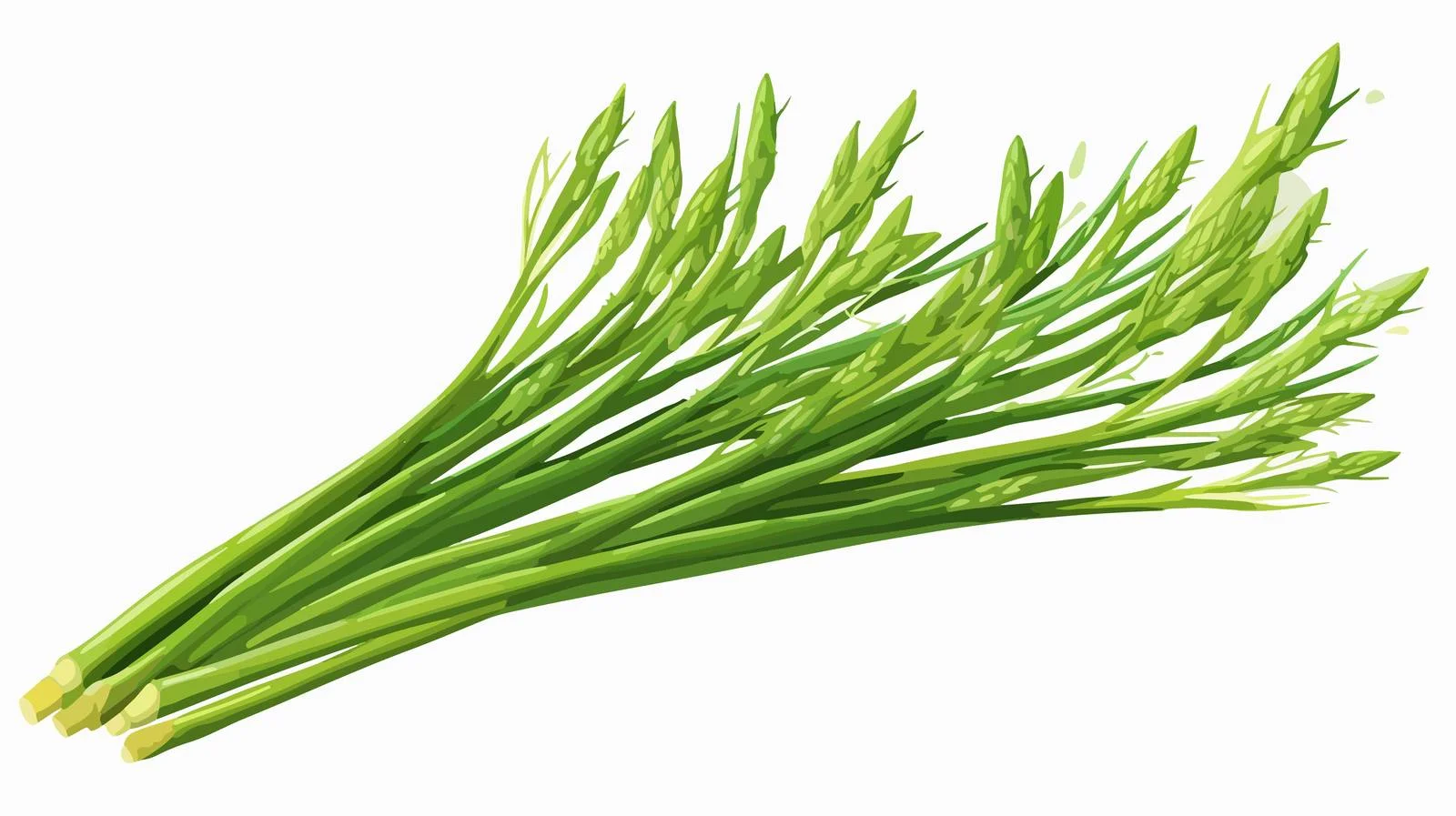 Vibrant Green Asparagus Sprouts: Fresh Plant — free download from Dotvec