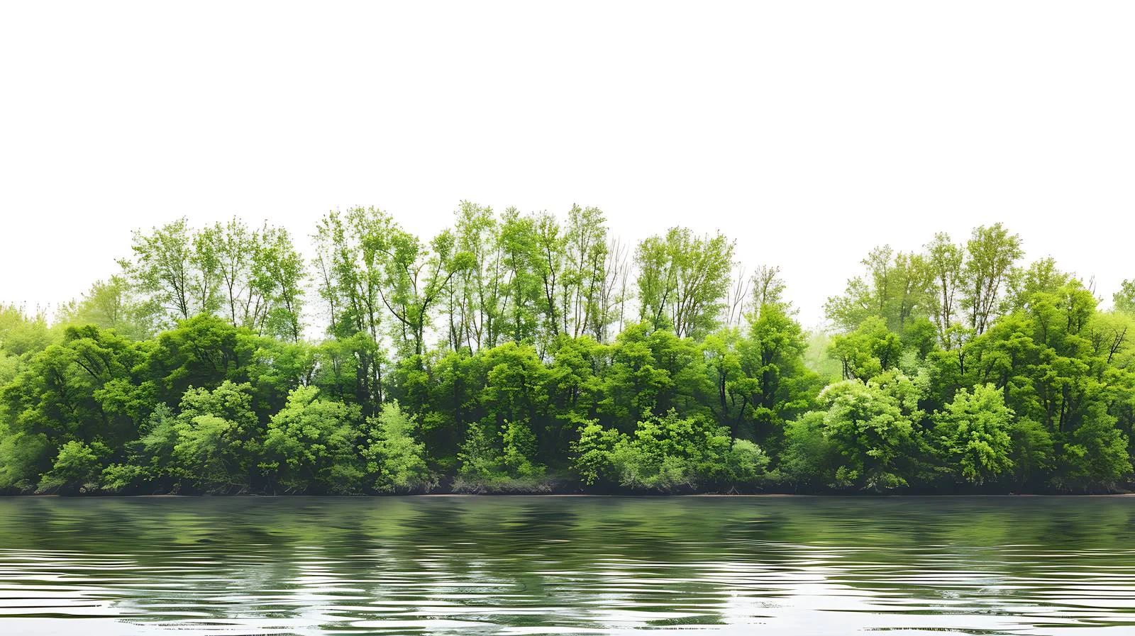 Scenic Spring Forest and River Isolation — free download from Dotvec