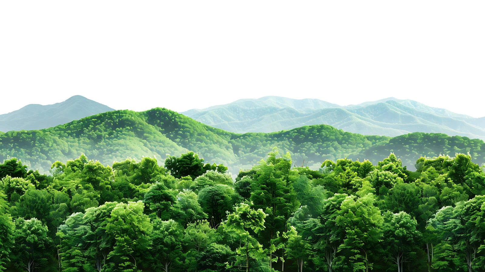 Serene Mountain Green Forest Panorama View — free download from Dotvec