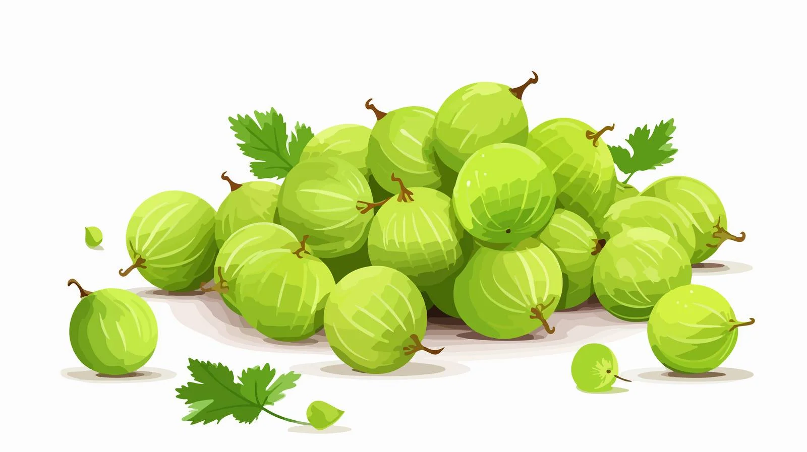 Freshly Picked Green Gooseberries Arrangement — free download from Dotvec