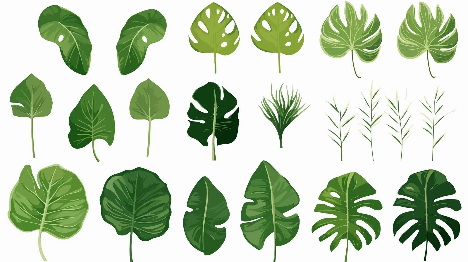 Exotic Tropical Foliage Collection — free download from Dotvec