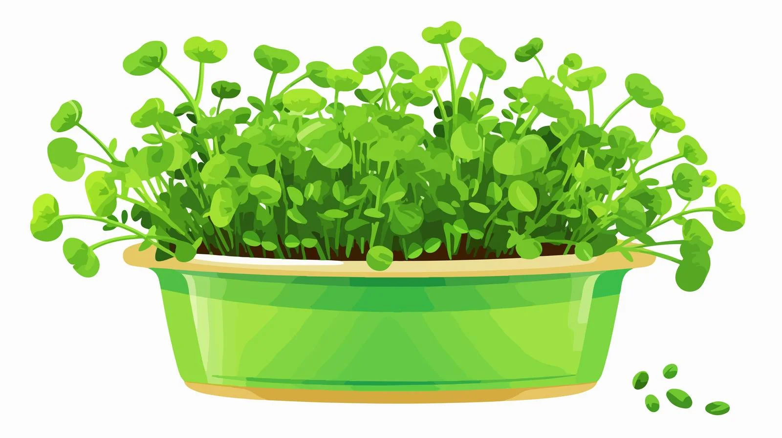 Vibrant Microgreens Sprouting in Container — free download from Dotvec