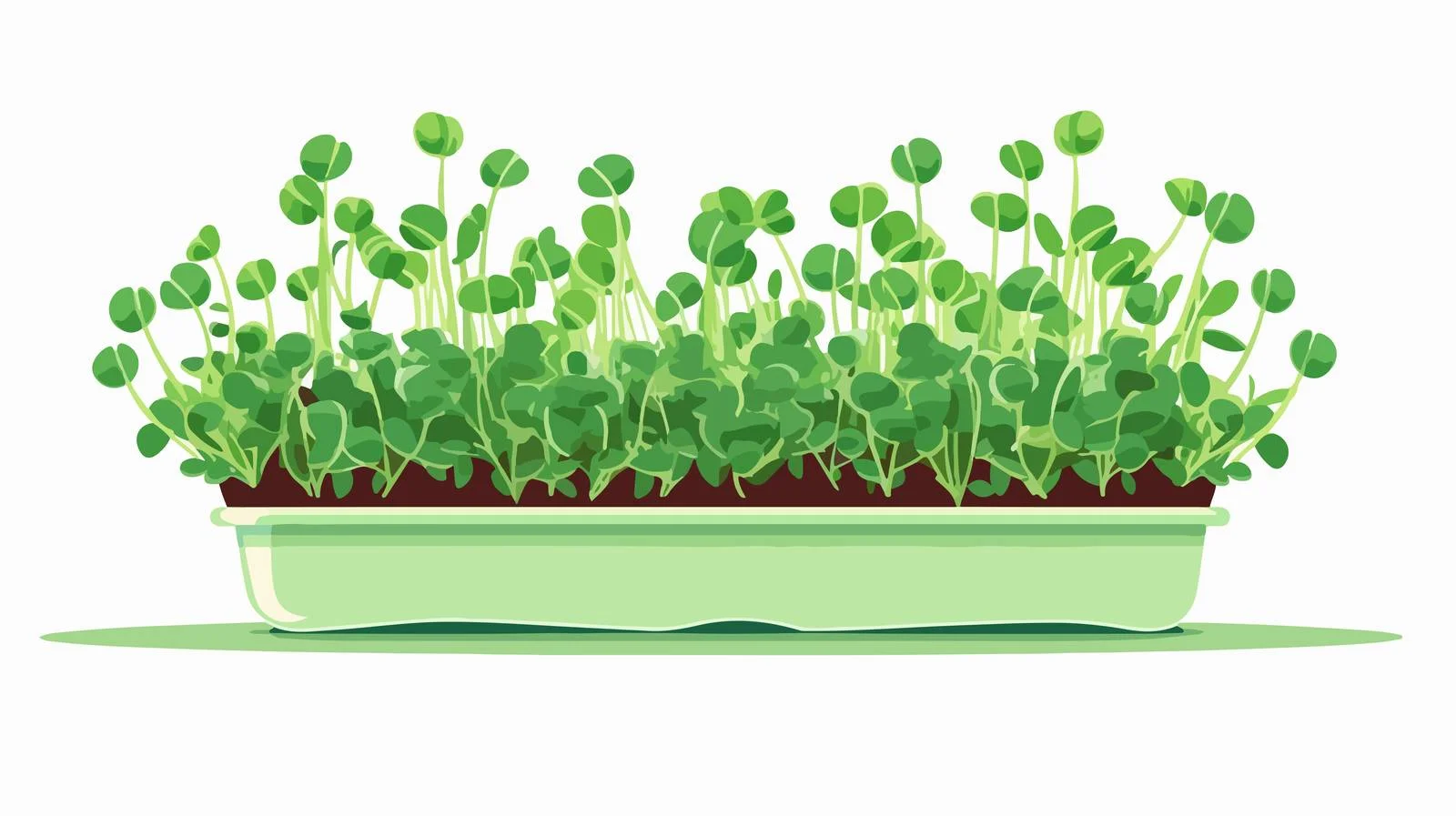 Vibrant Microgreens Growing in Pot — free download from Dotvec