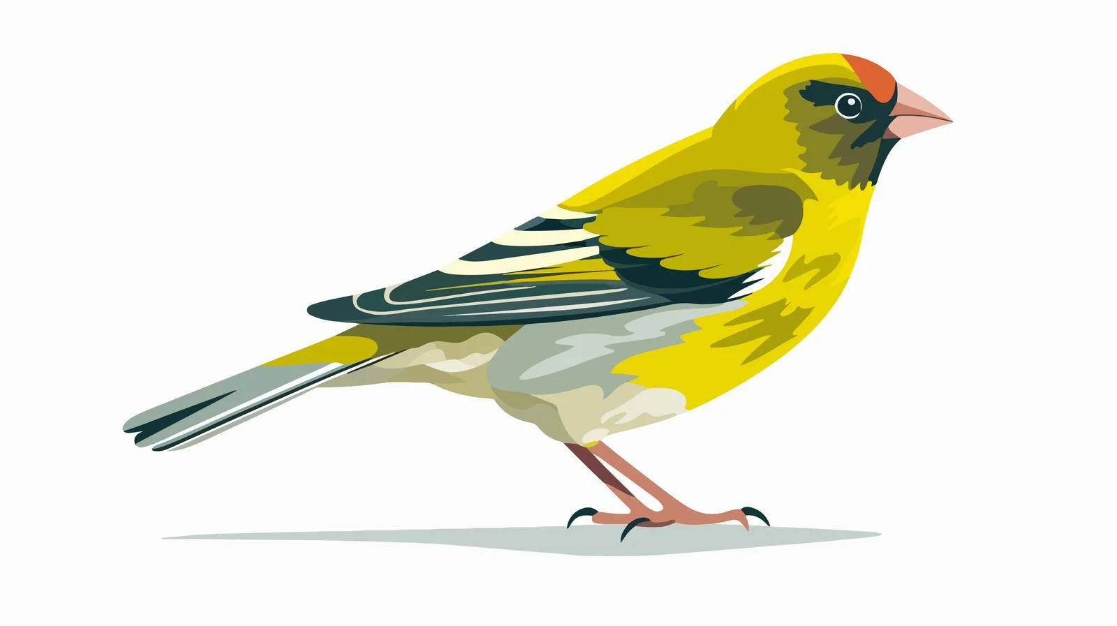 Vibrant Greenfinch Plumage Profile Portrait — free download from Dotvec
