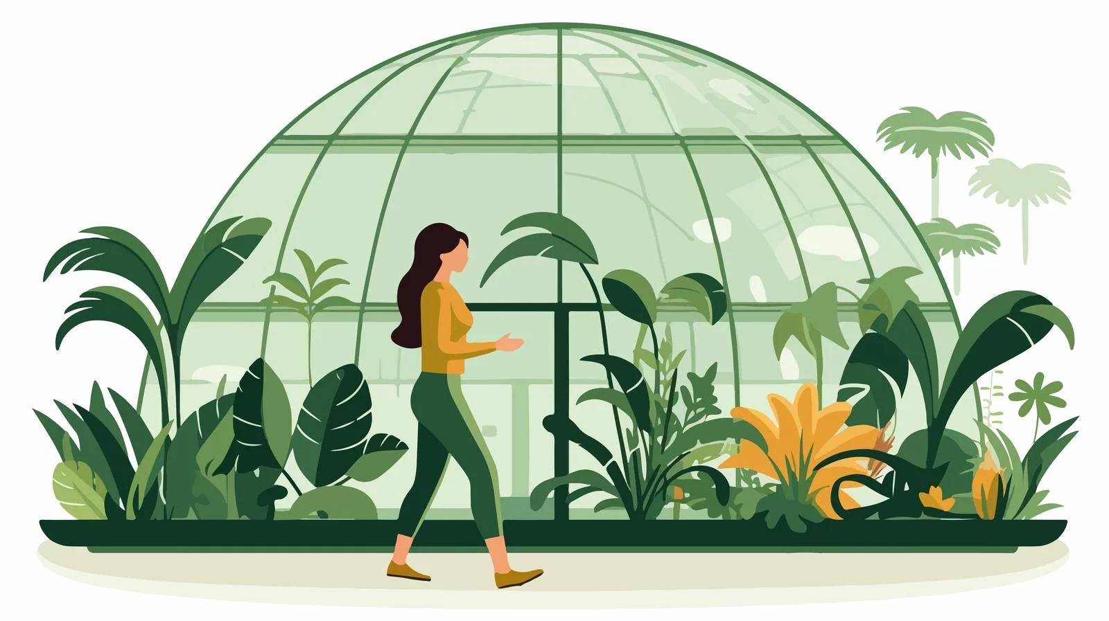 Exploring Botanical Paradise at Greenhouse Conservatory – free conservatory image from Dotvec