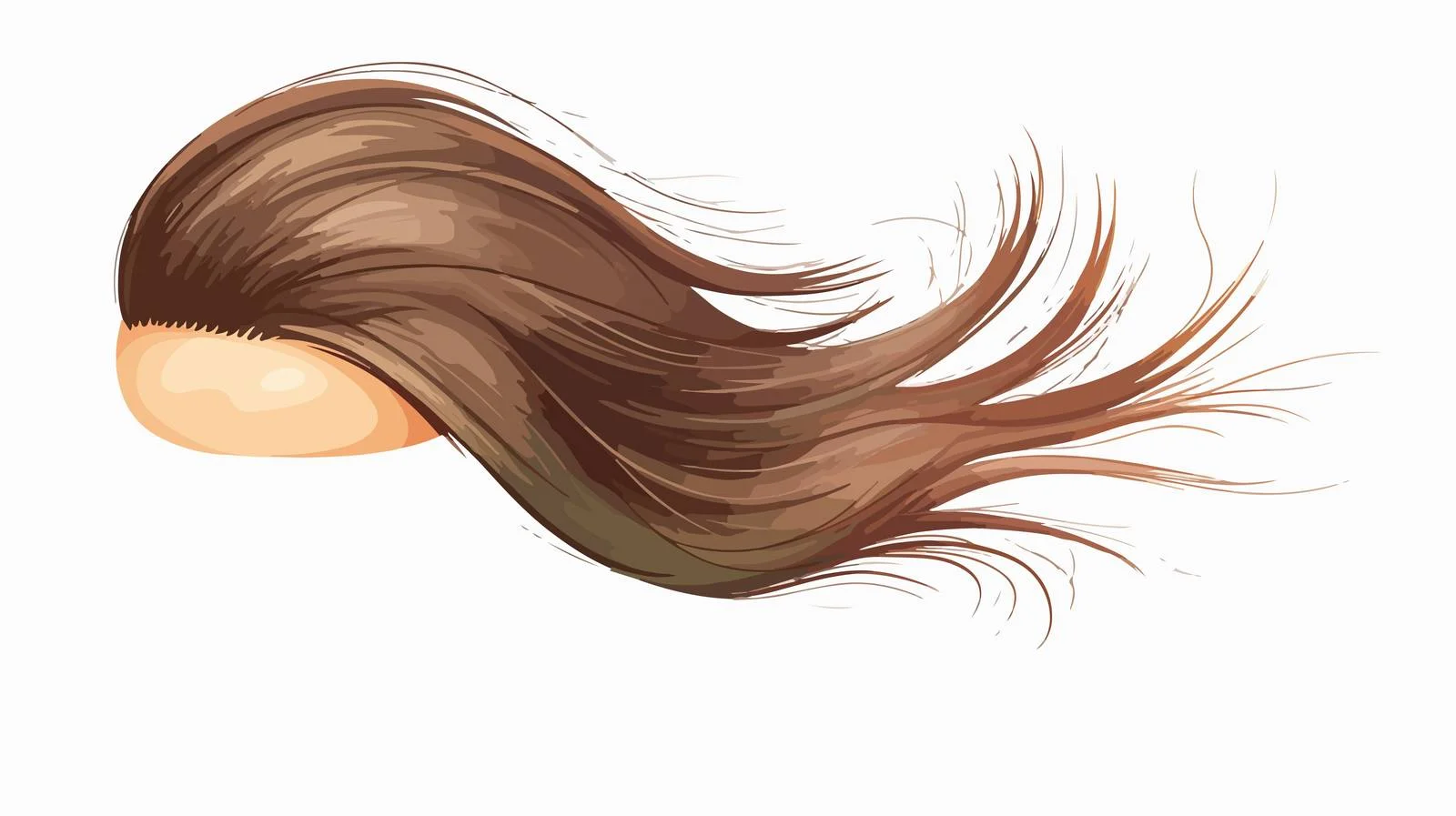 Hair Care Icon Concept Image — free download from Dotvec