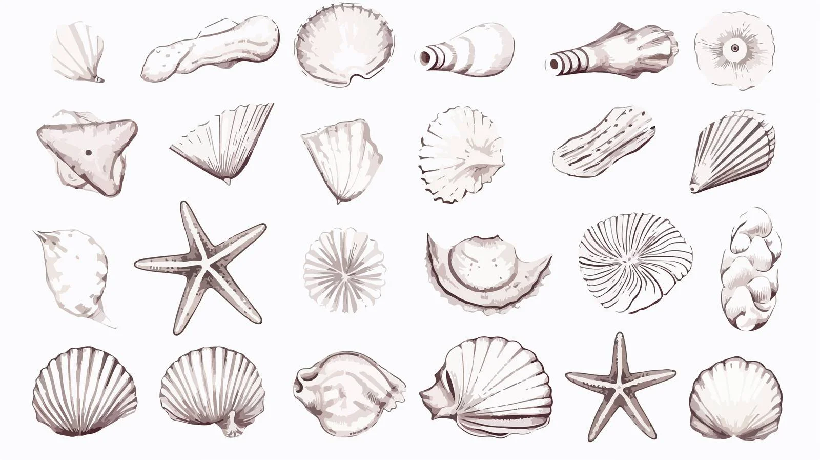 Ocean Treasures: Seashell Sketch Compilation — free download from Dotvec