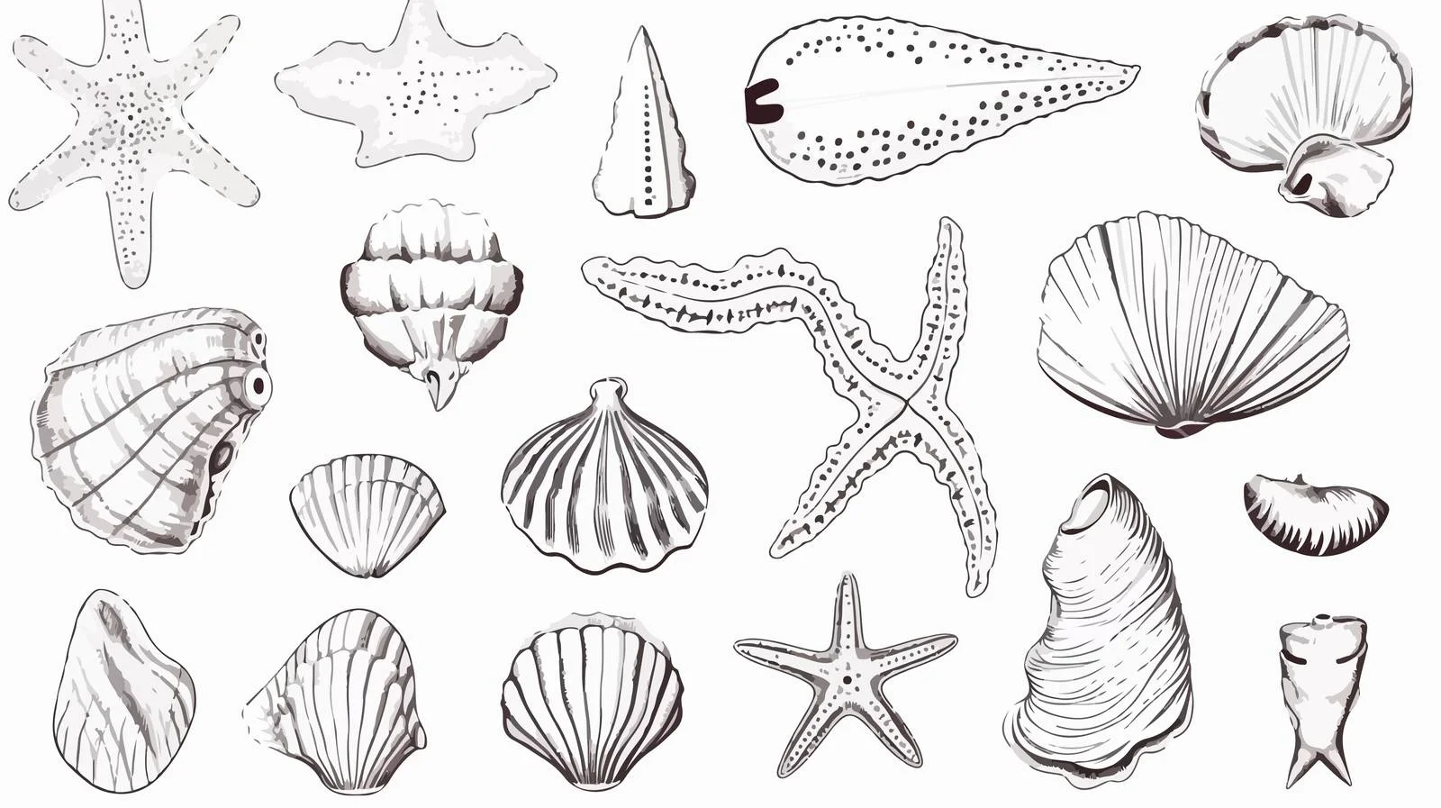 Exquisite Hand-Drawn Seashell Assortment — free download from Dotvec