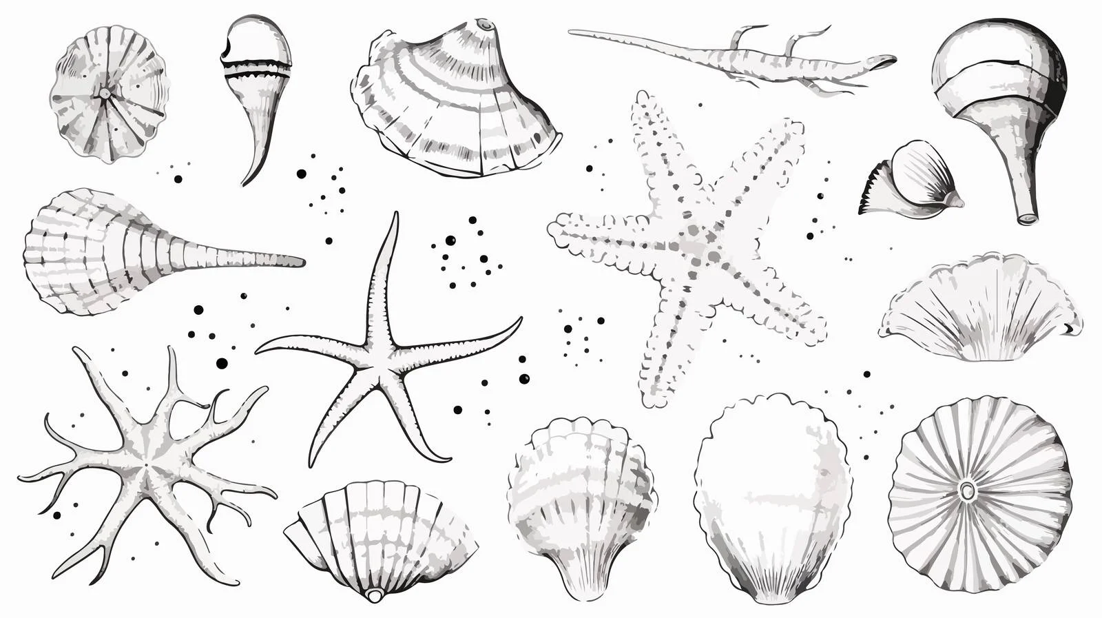Exquisite Hand-Drawn Seashells Array — free download from Dotvec