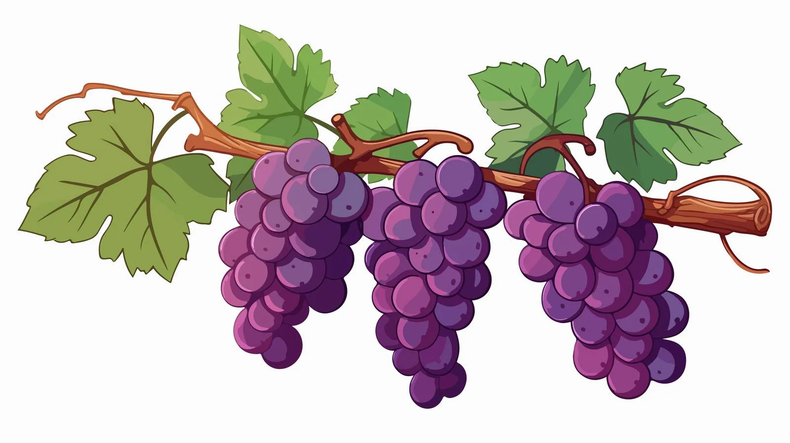 Ripe grape bunch hanging from branch — free download from Dotvec