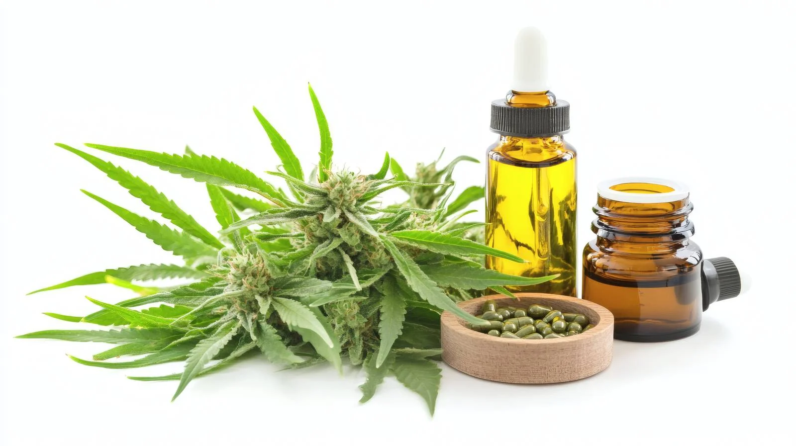 Hemp Cannabis Leaves with CBD Oil — free download from Dotvec