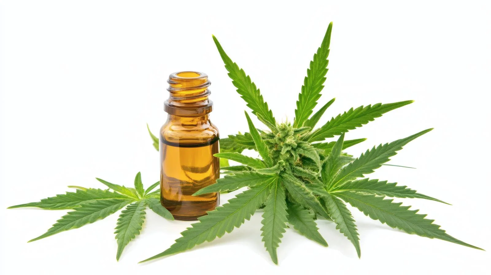 Premium CBD Oil and Hemp Extracts — free download from Dotvec