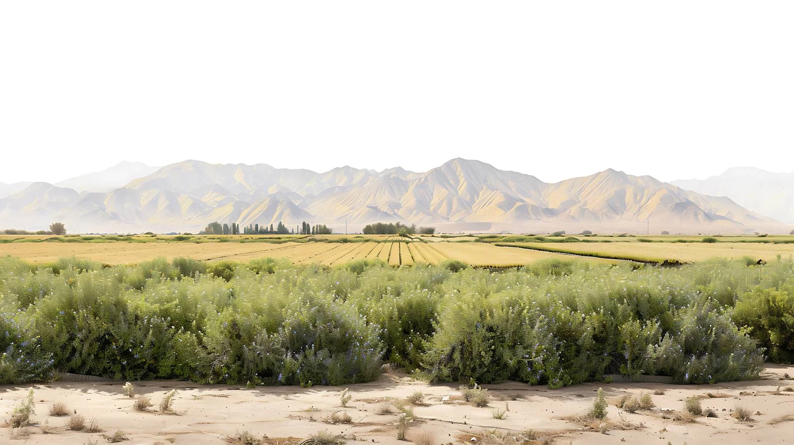 Imperial Valley's Pioneering Irrigation Development — free download from Dotvec