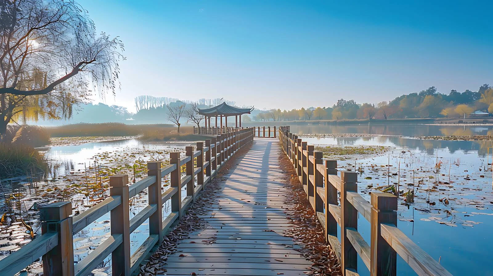 Tranquil Jiulongkou Wetland Park Beauty — free download from Dotvec