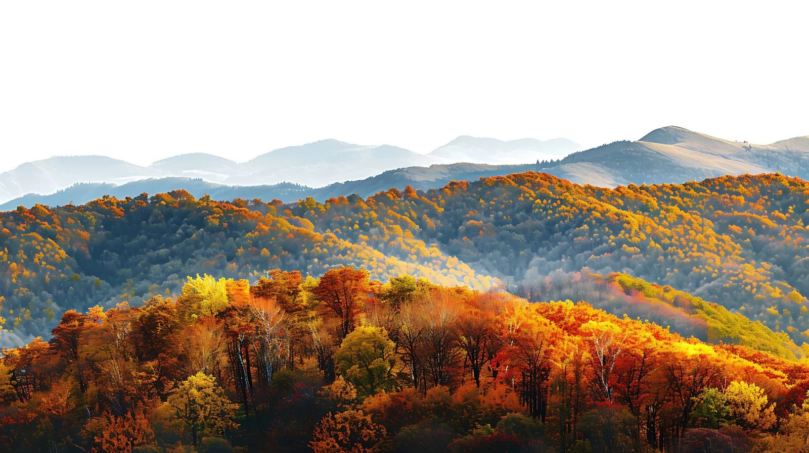 Autumn Isolated Bieszczady Mountains Landscape View — free download from Dotvec