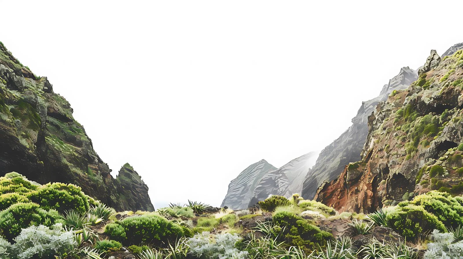 Scenic Madeira Island View Portugal Isolated — free download from Dotvec