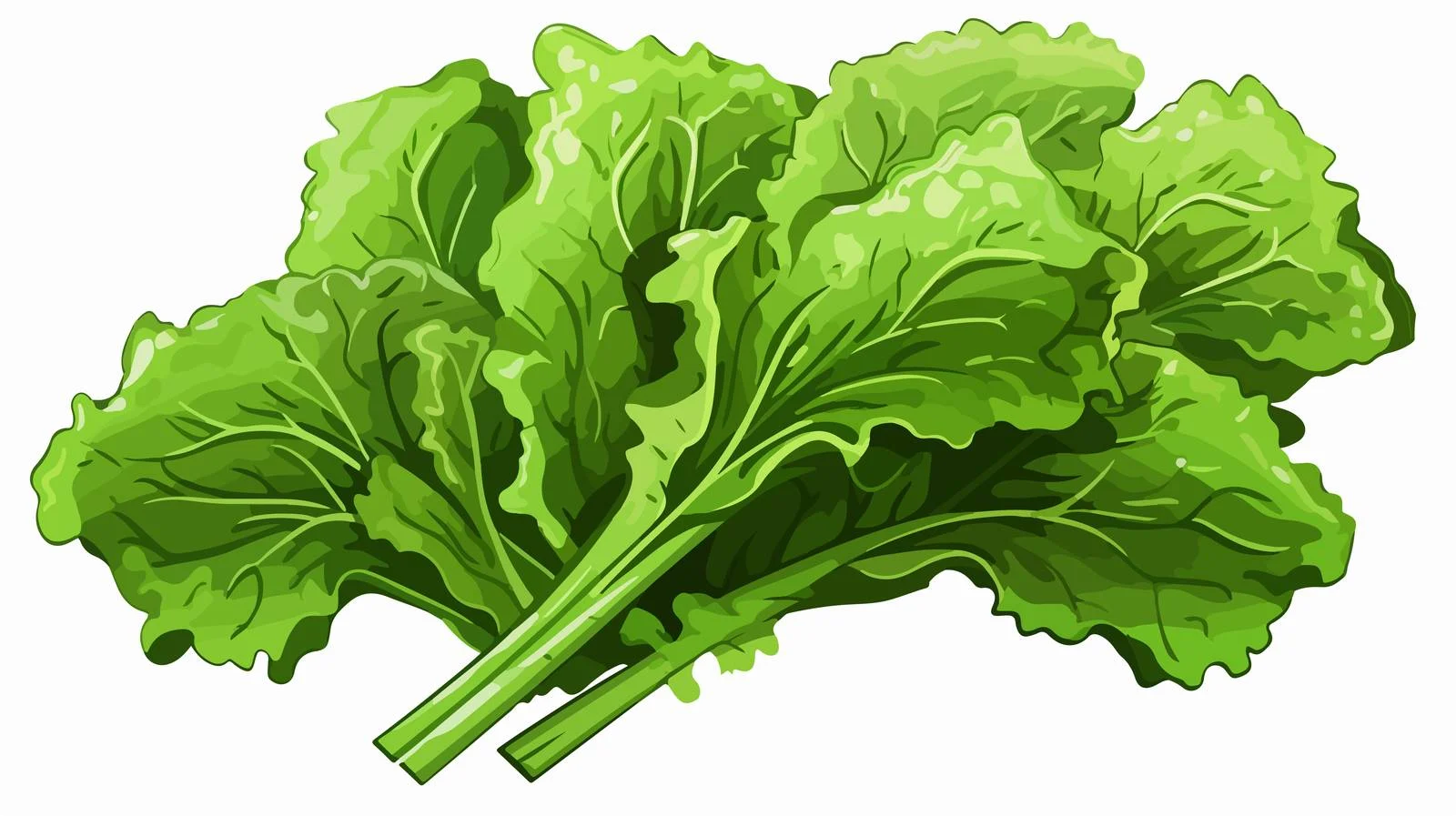 Green Leafy Vegetables for Healthy Salad — free download from Dotvec