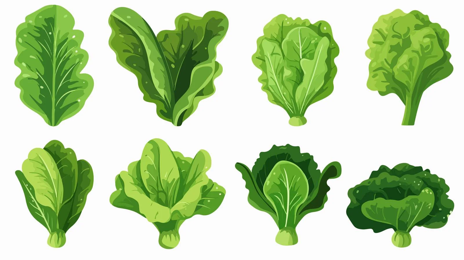 Healthy Salad Greens — free download from Dotvec