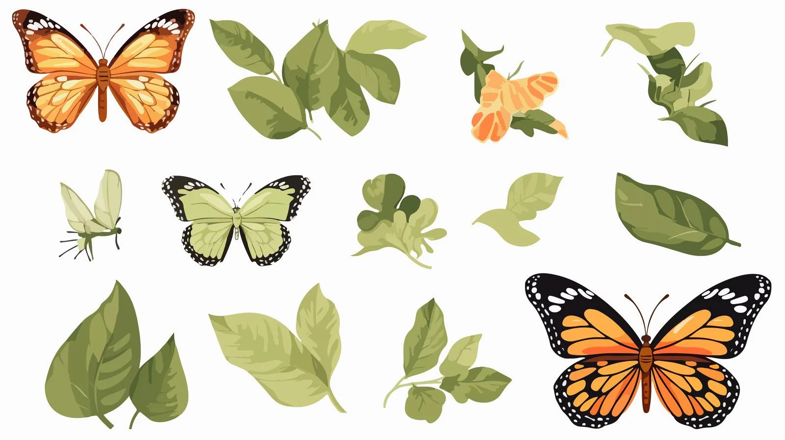 Butterfly Life Cycle Illustration — free download from Dotvec