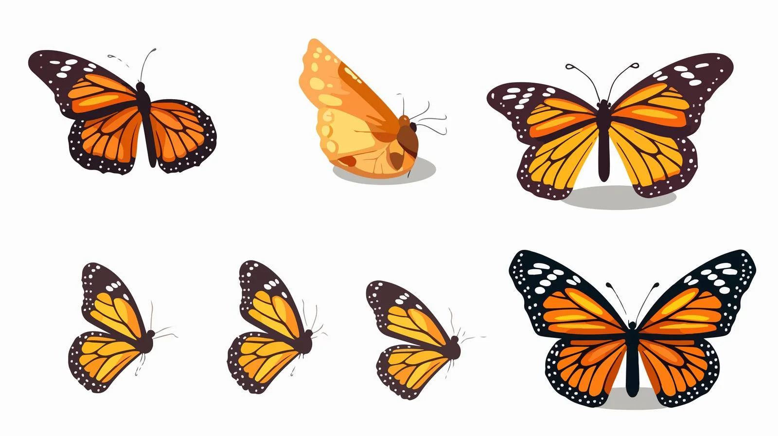 Butterfly Life Cycle Illustration — free download from Dotvec