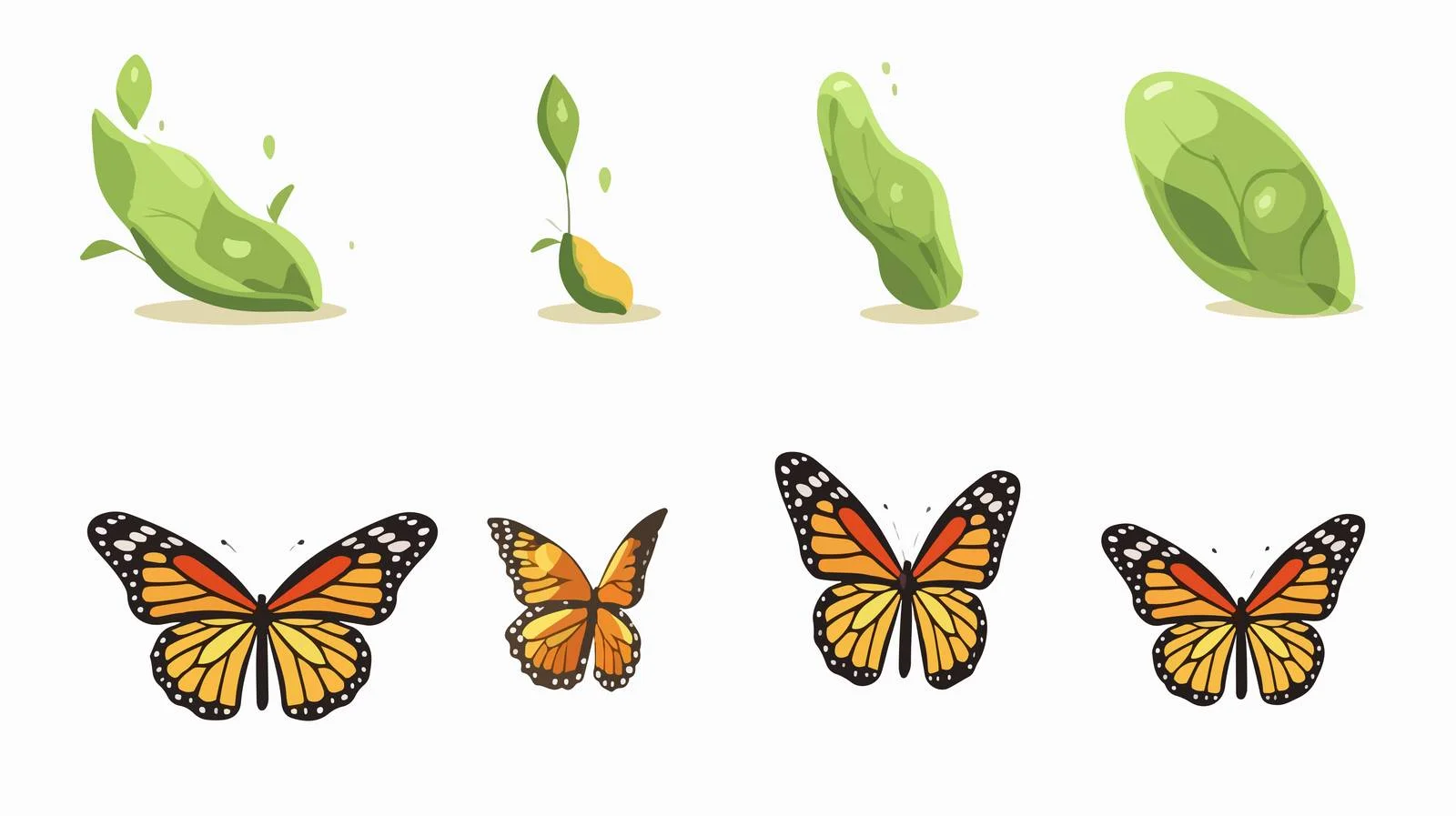 Butterfly Life Cycle Illustration — free download from Dotvec