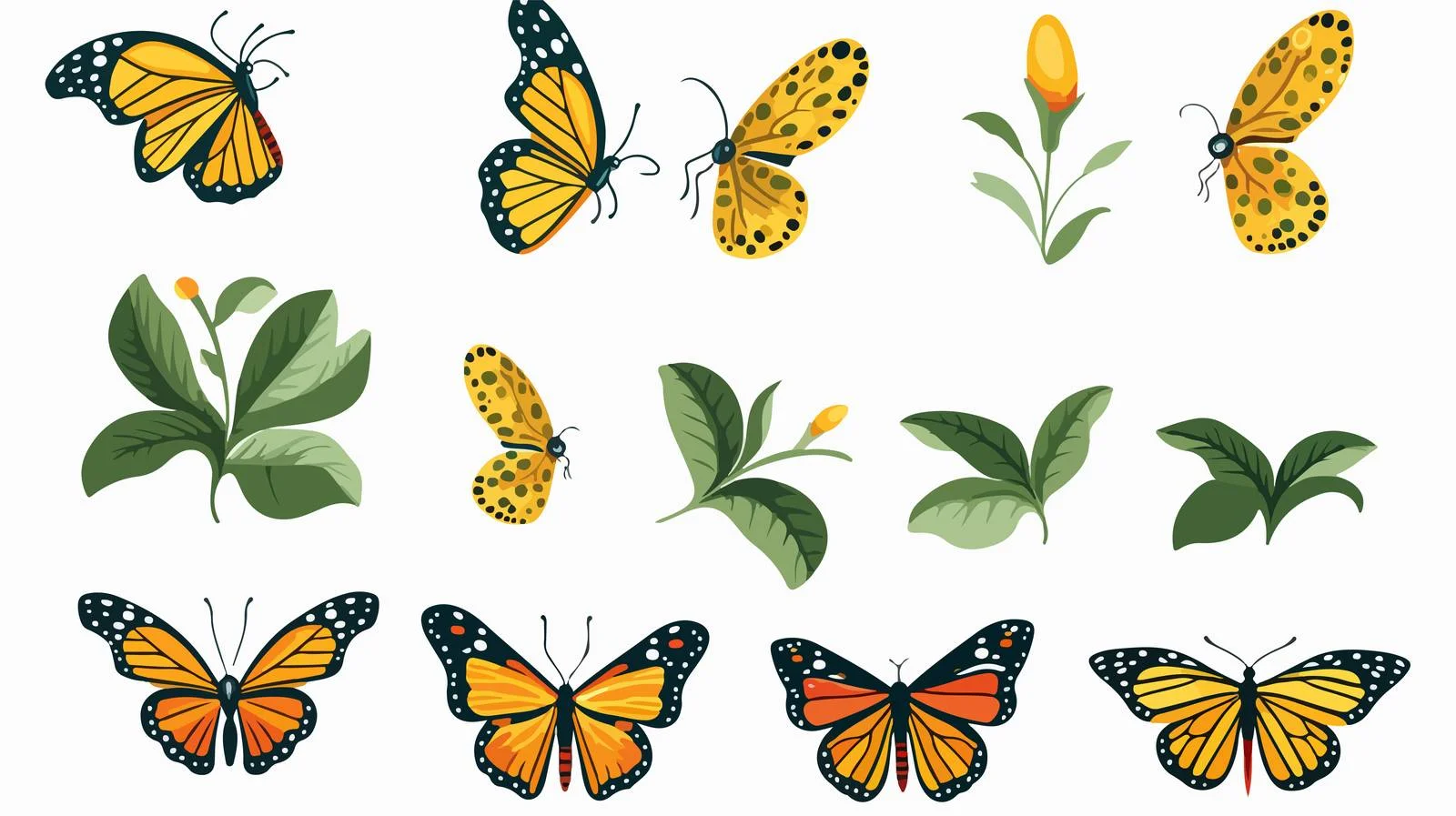 Butterfly Life Cycle Illustration — free download from Dotvec