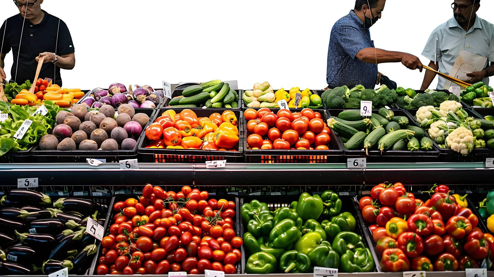Men harvesting produce in grocery store — free download from Dotvec