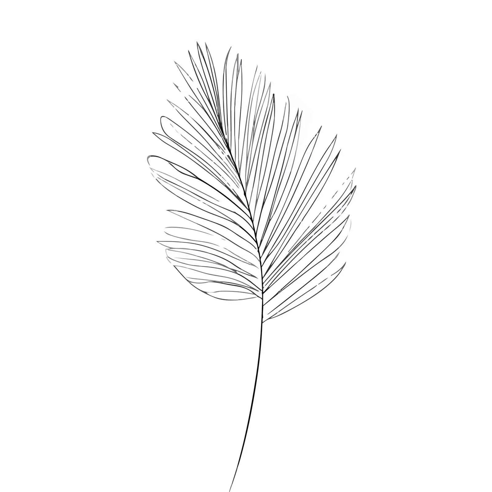 Abstract Palm Leaf Line Art — free download from Dotvec