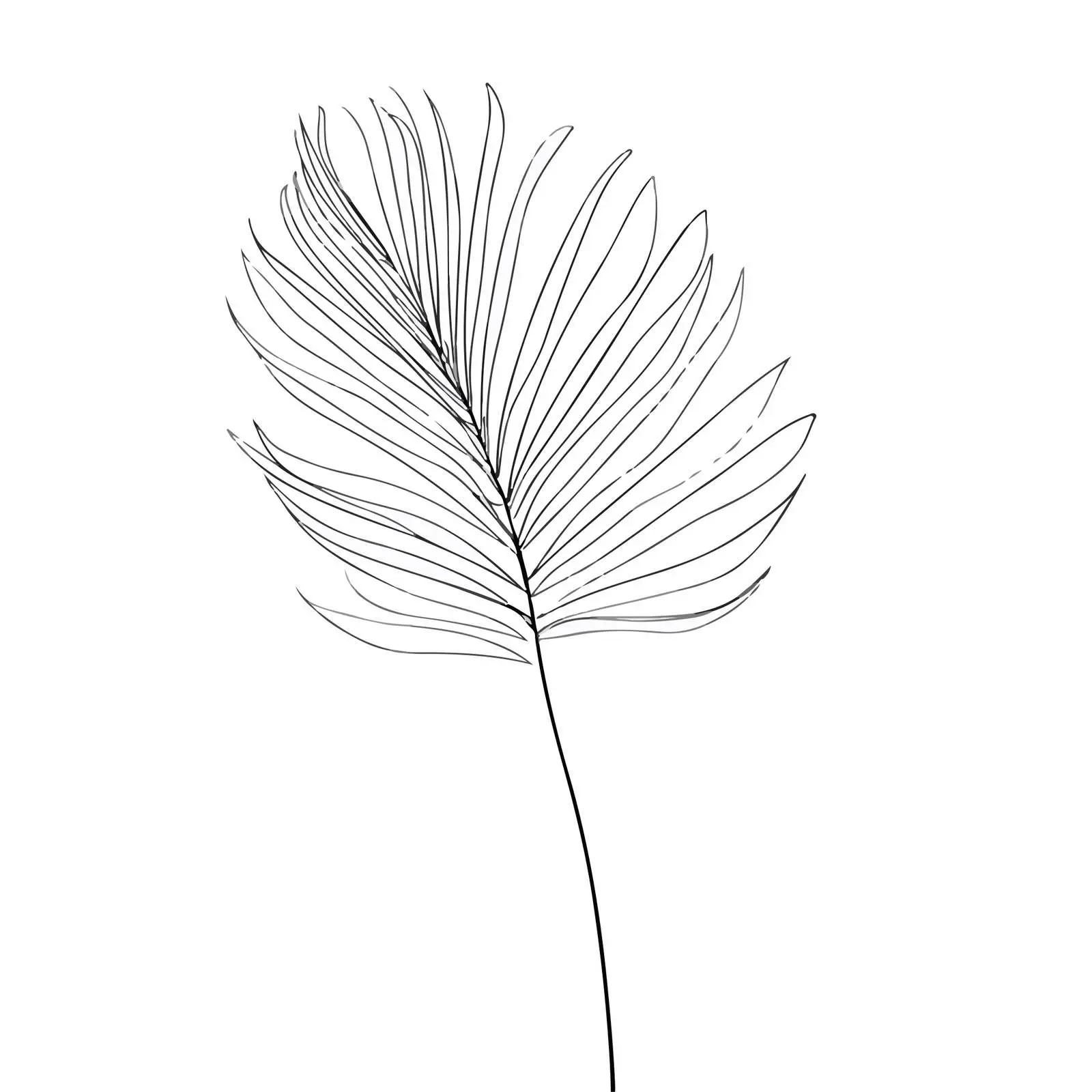 Abstract Palm Leaf Line Art — free download from Dotvec