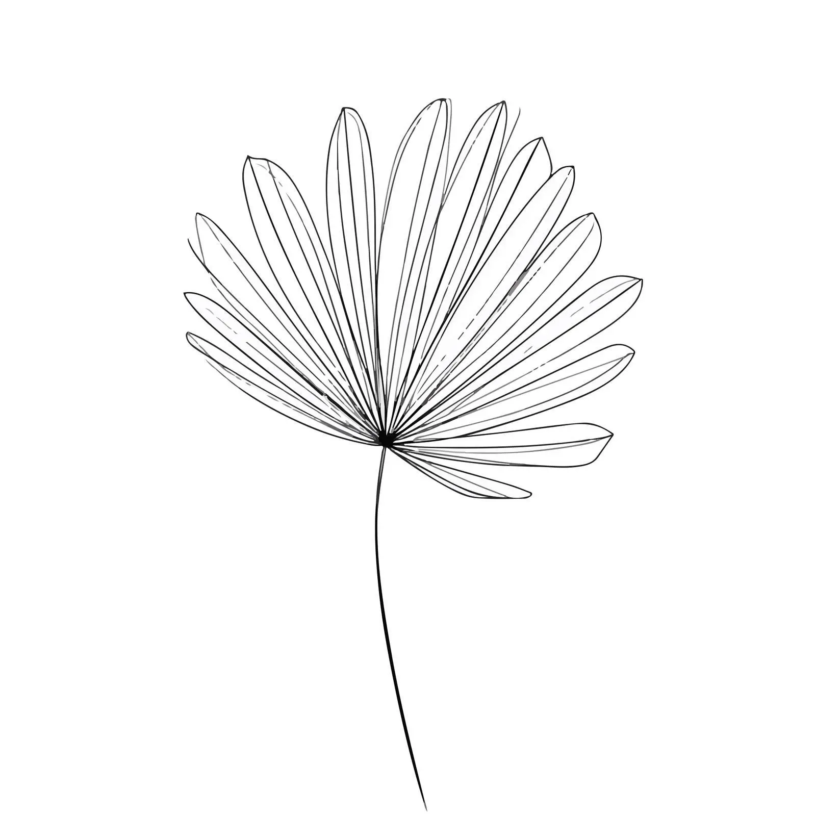 Abstract Palm Leaf Line Art — free download from Dotvec