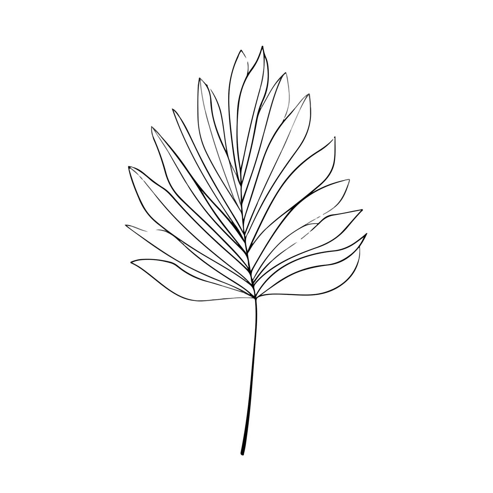 Abstract Palm Leaf Line Art — free download from Dotvec