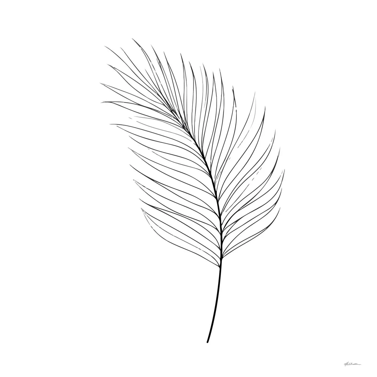 Abstract Palm Leaf Line Art — free download from Dotvec