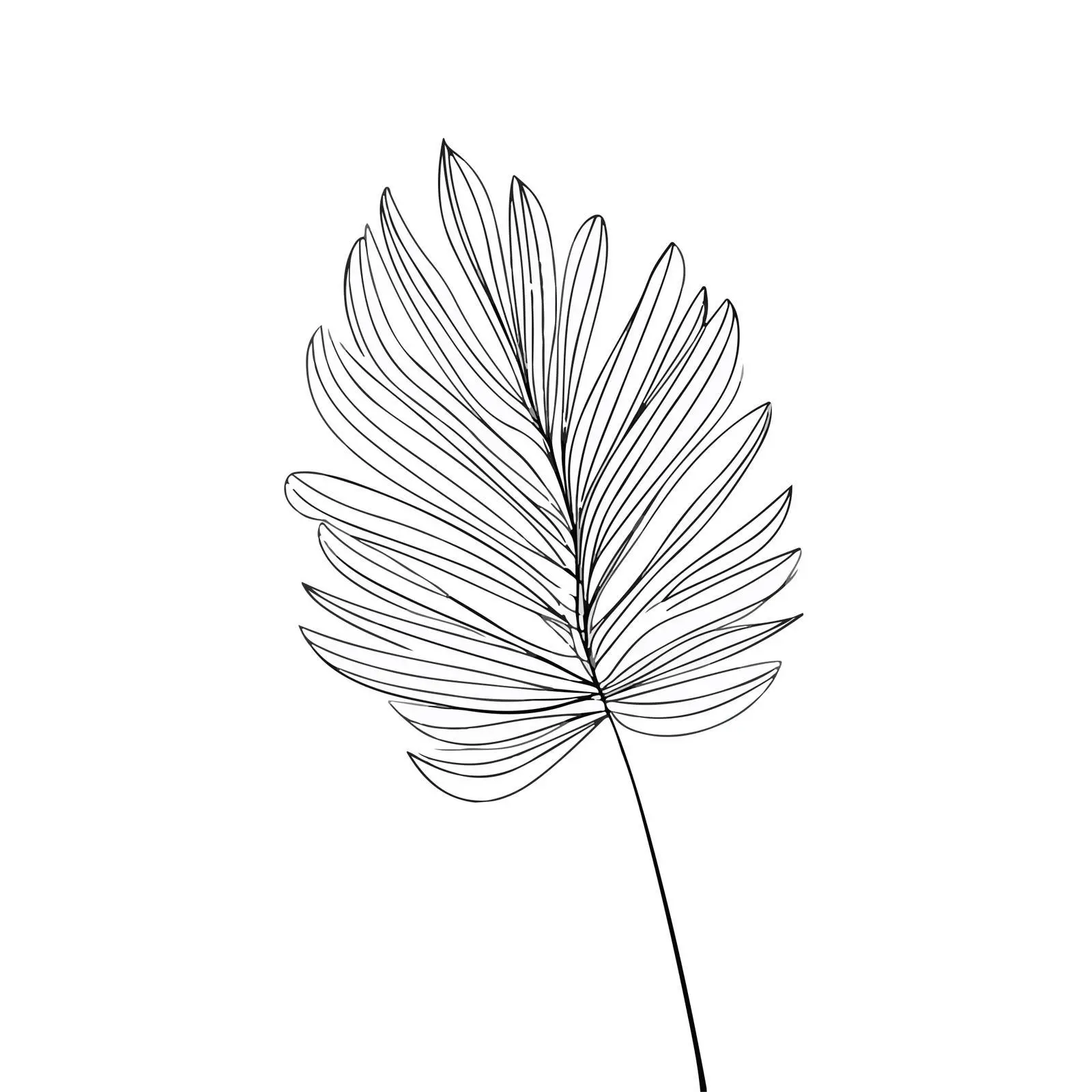 Abstract Palm Leaf Line Art — free download from Dotvec