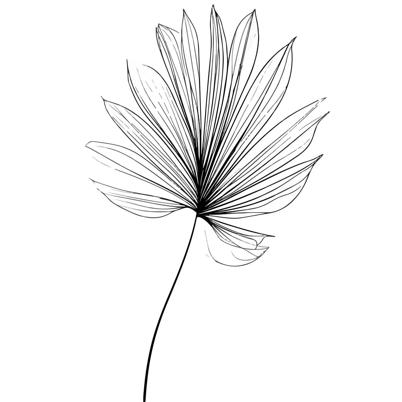 Abstract Palm Leaf Line Art — free download from Dotvec
