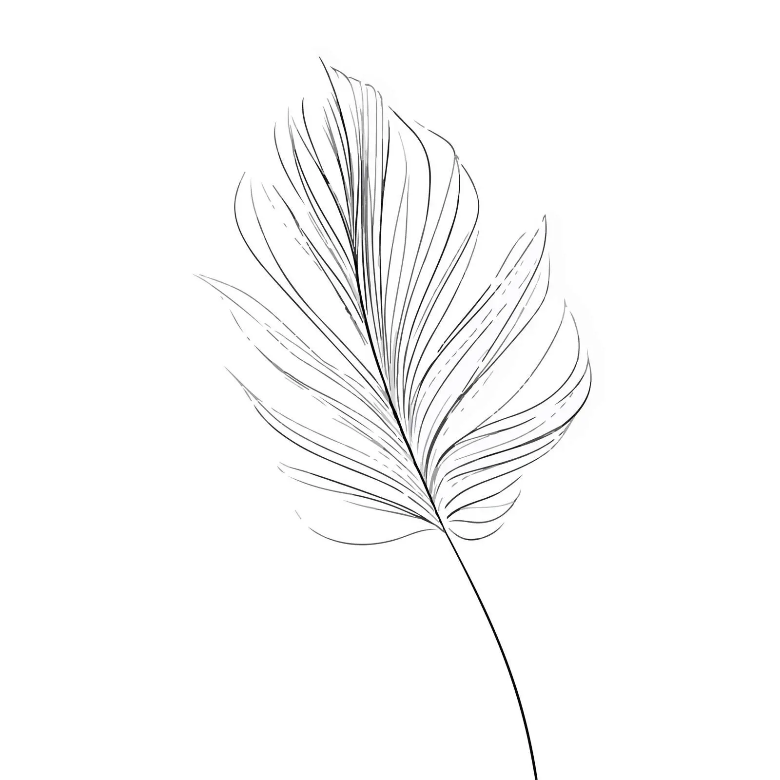 Abstract Palm Leaf Line Art — free download from Dotvec