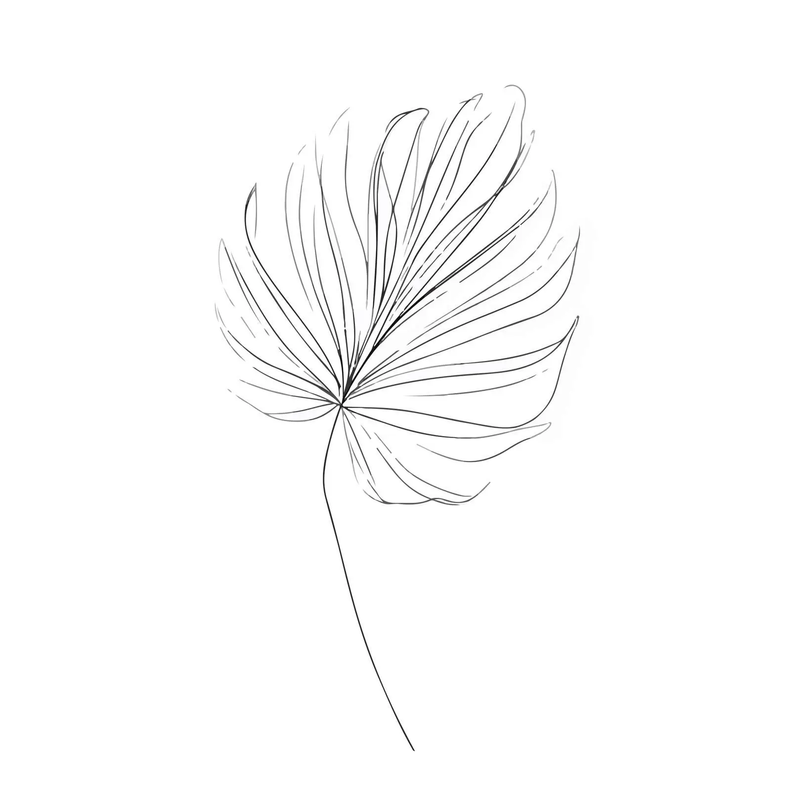 Abstract Palm Leaf Line Art — free download from Dotvec