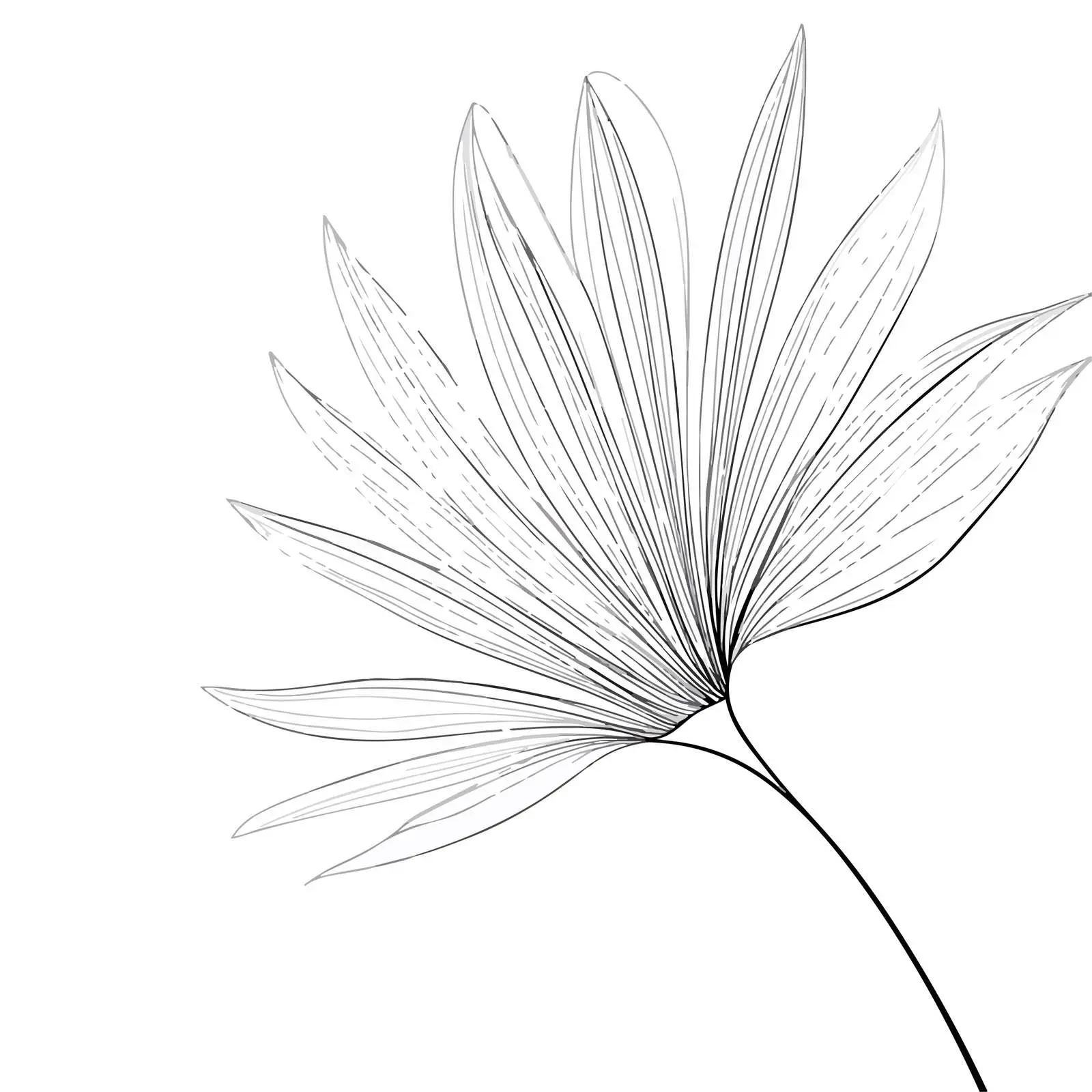 Abstract Palm Leaf Line Art — free download from Dotvec