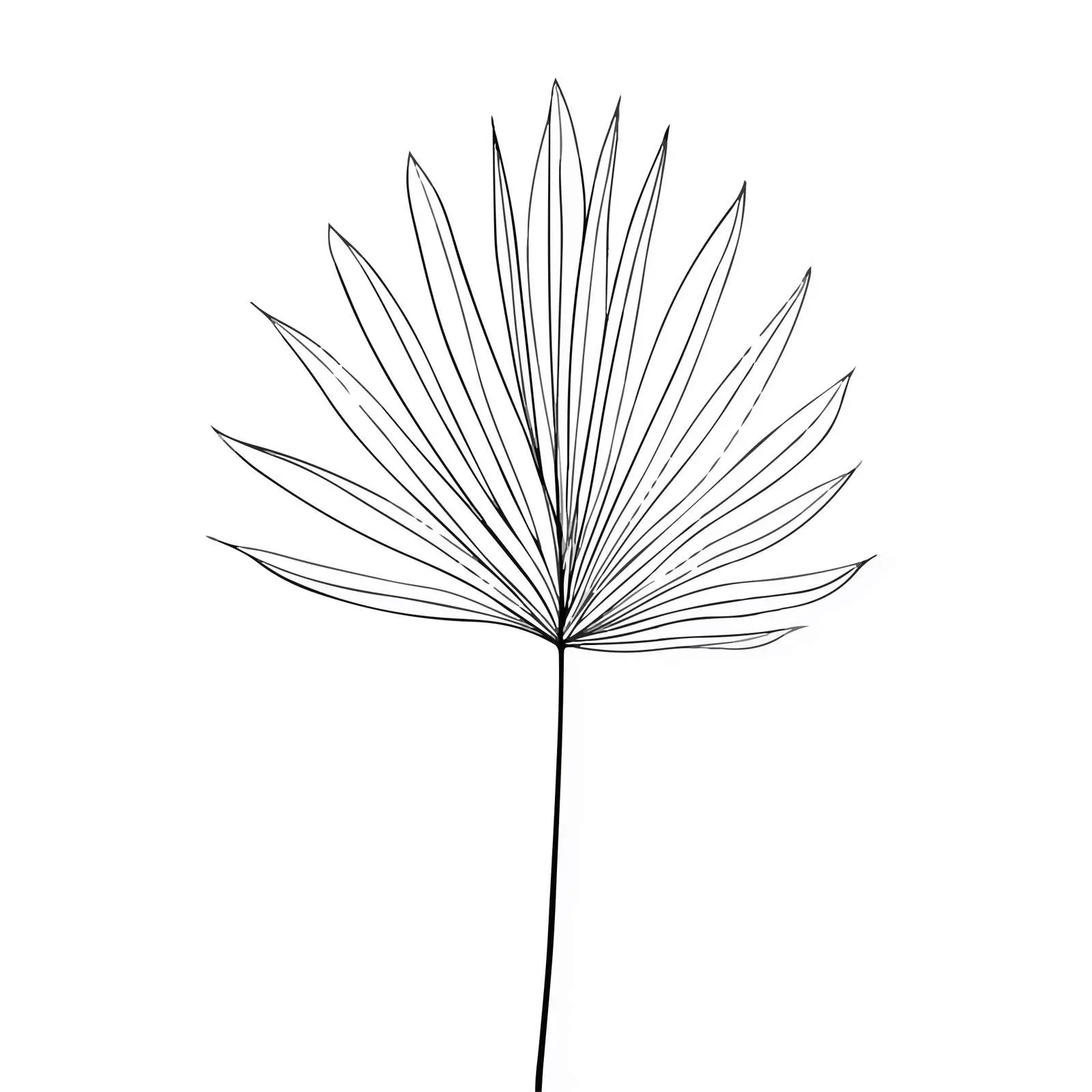 Abstract Palm Leaf Line Art — free download from Dotvec