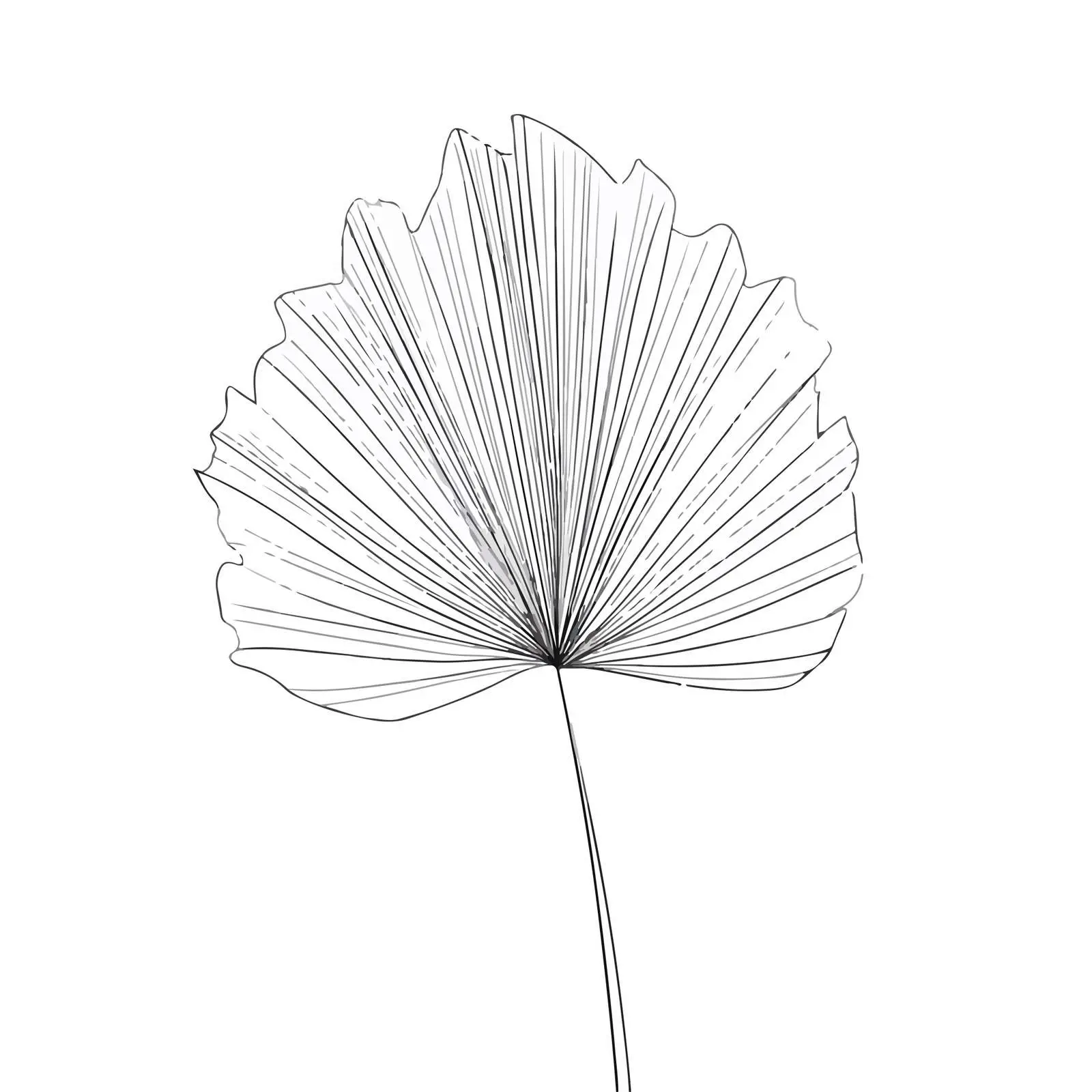 Abstract Palm Leaf Line Art — free download from Dotvec
