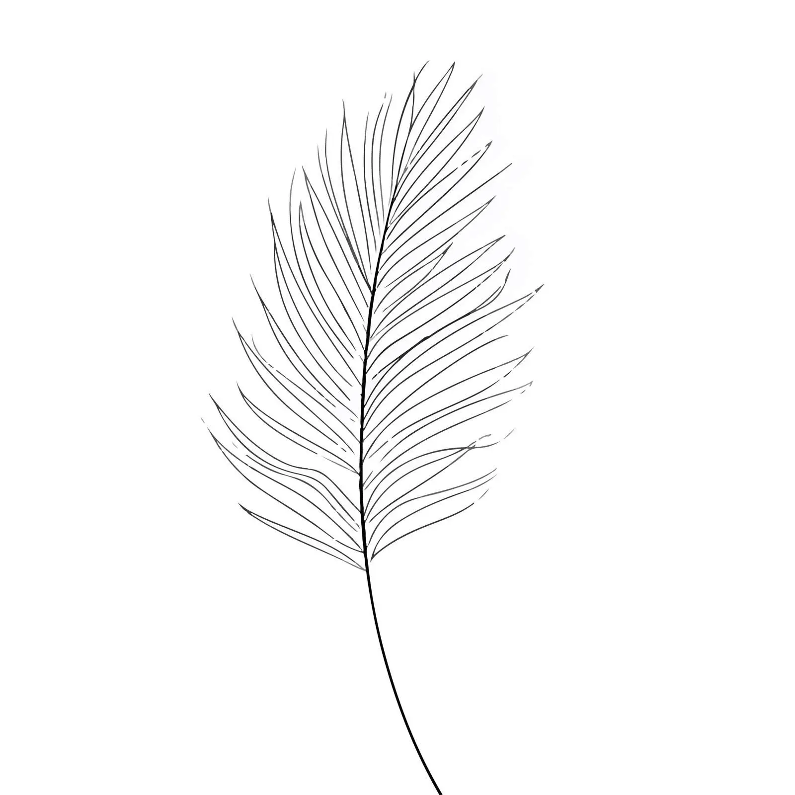 Abstract Palm Leaf Line Art — free download from Dotvec