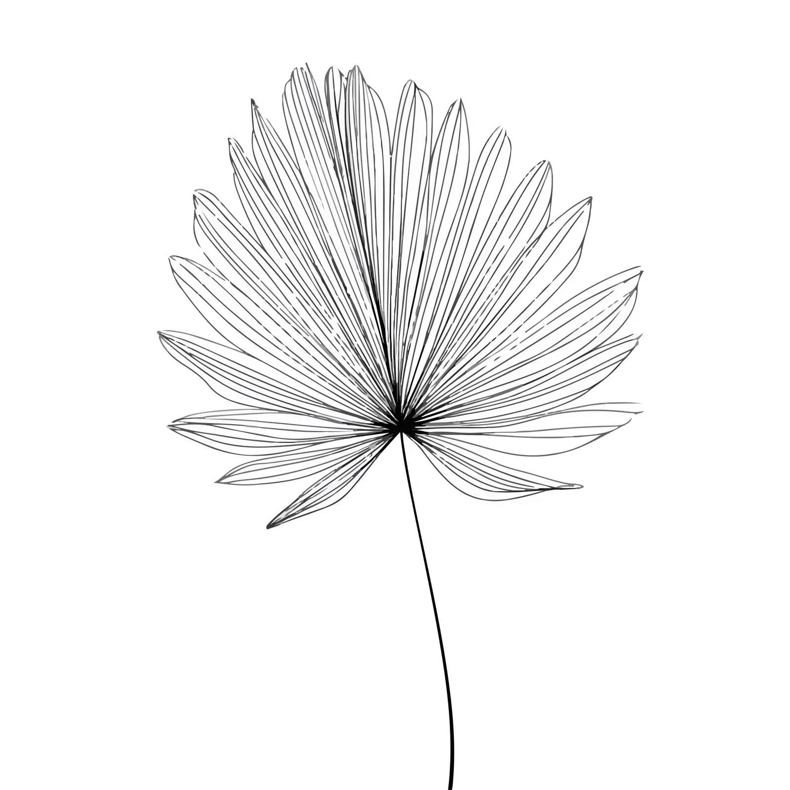 Abstract Palm Leaf Line Art — free download from Dotvec