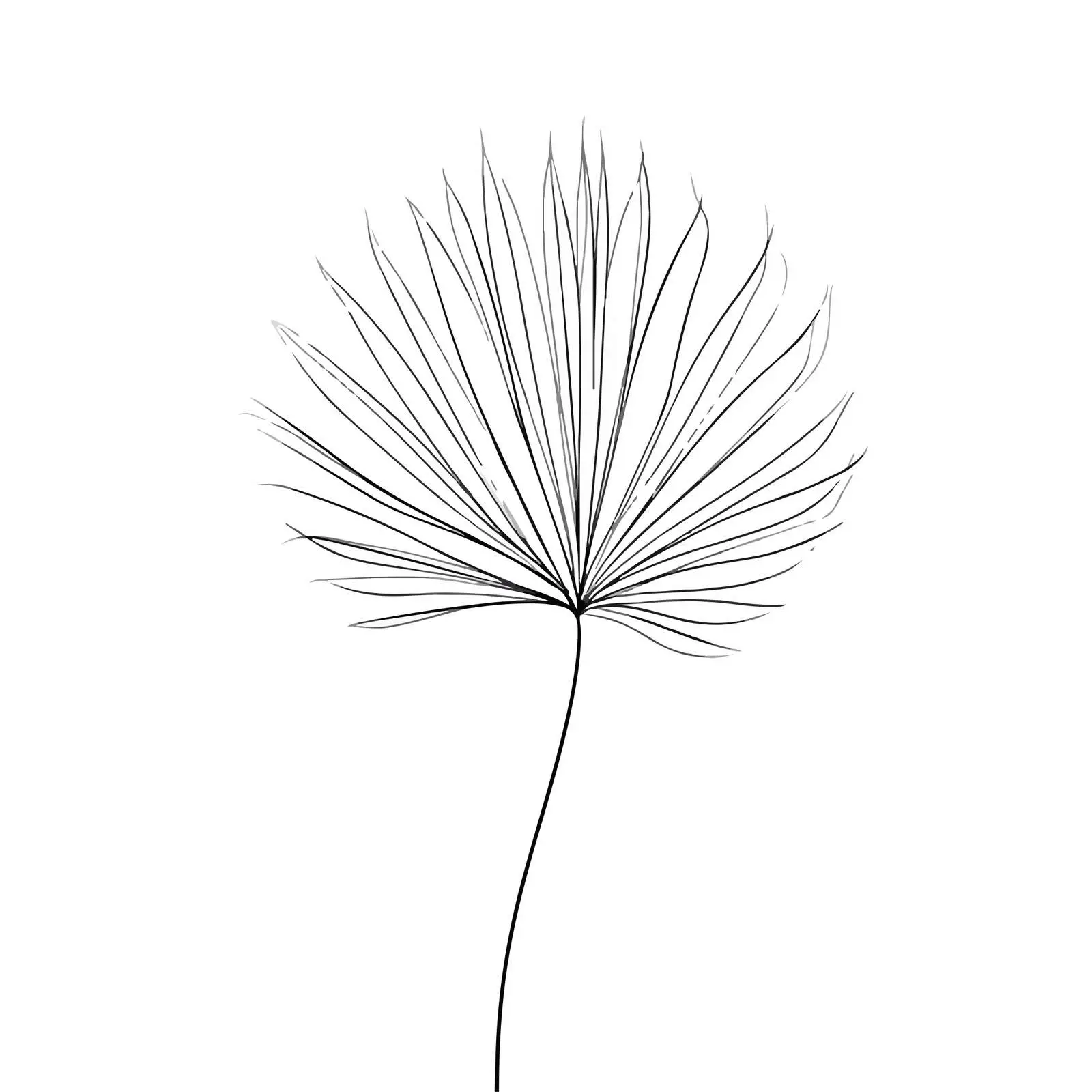 Abstract Palm Leaf Line Art — free download from Dotvec