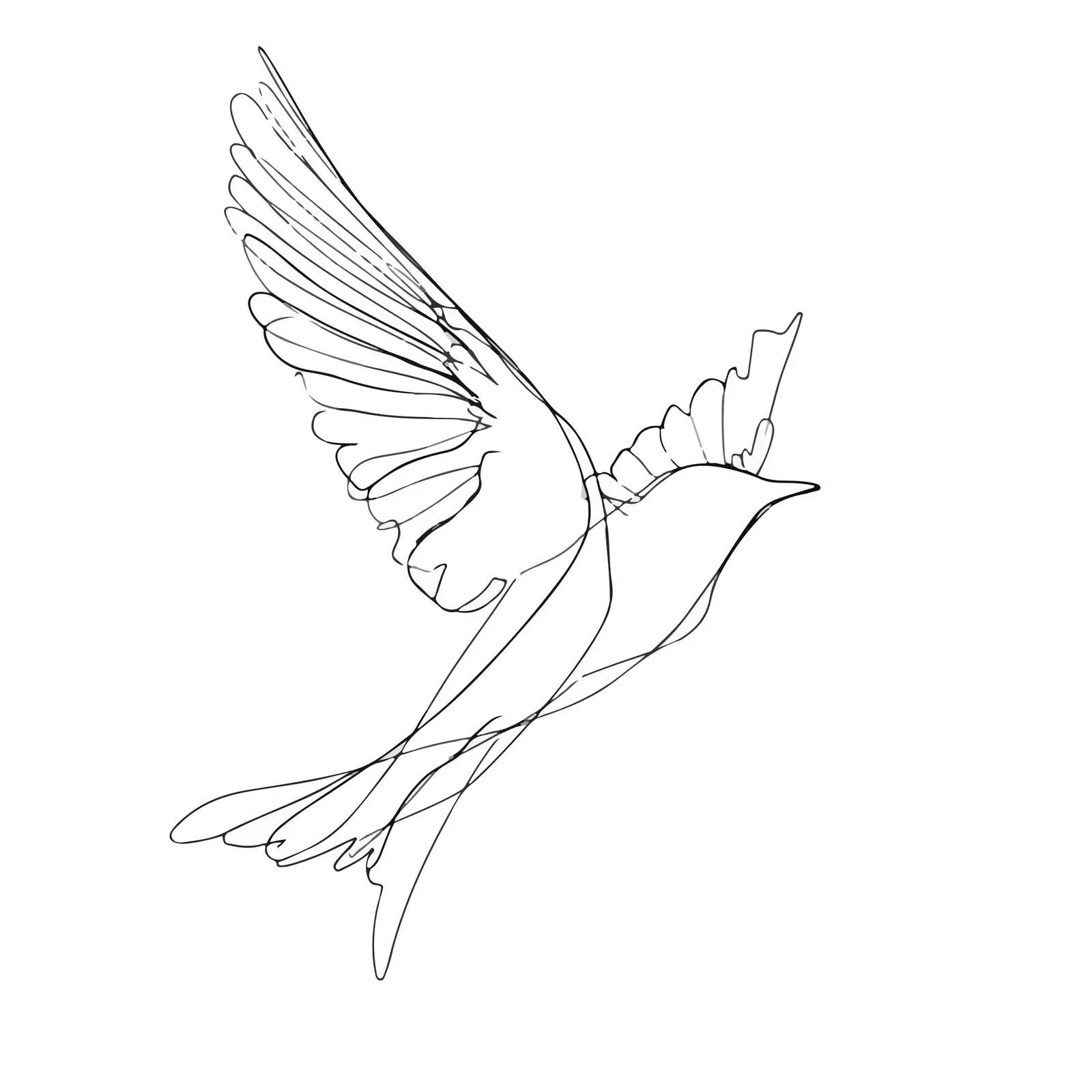 Elegant Bird Flight Line Art — free download from Dotvec