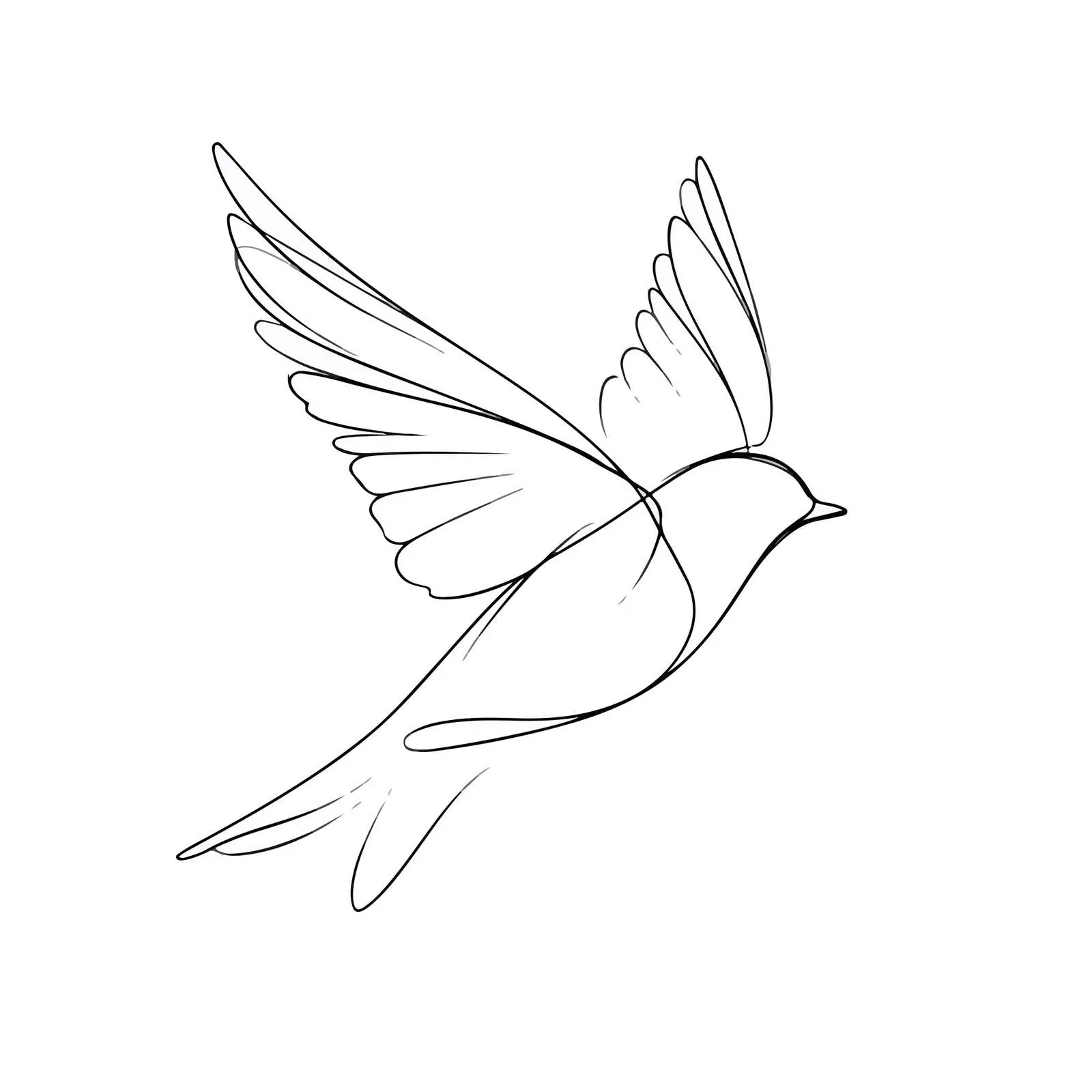 Bird in Flight Line Art — free download from Dotvec