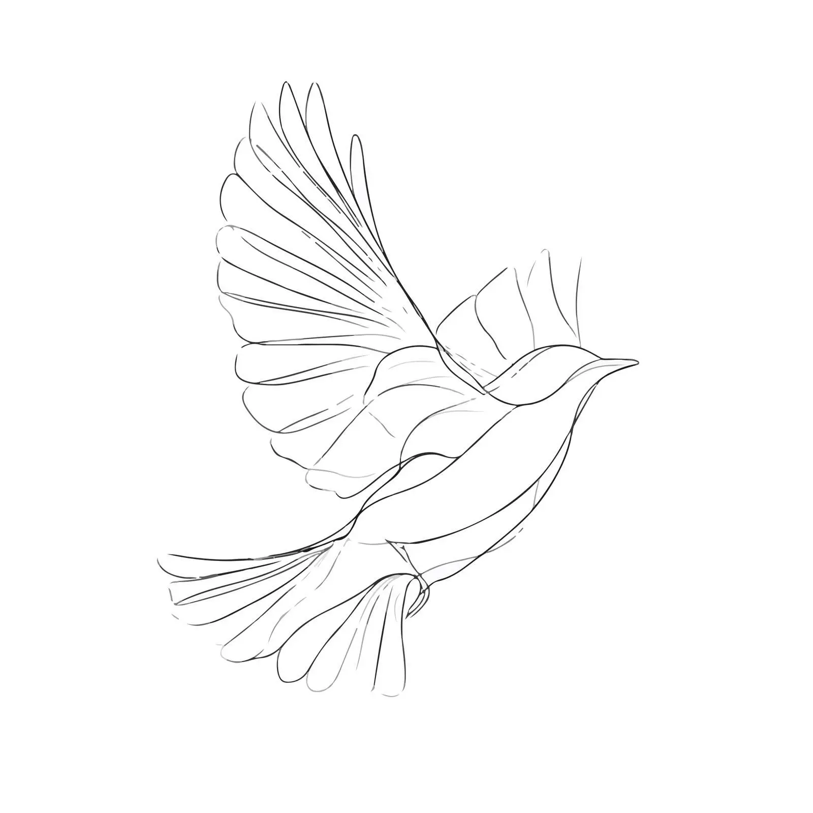 Elegant Bird Line Art Illustration — free download from Dotvec