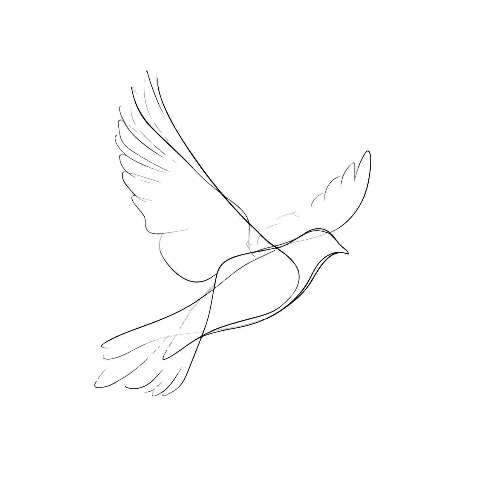 Elegant Bird Flight Illustration — free download from Dotvec