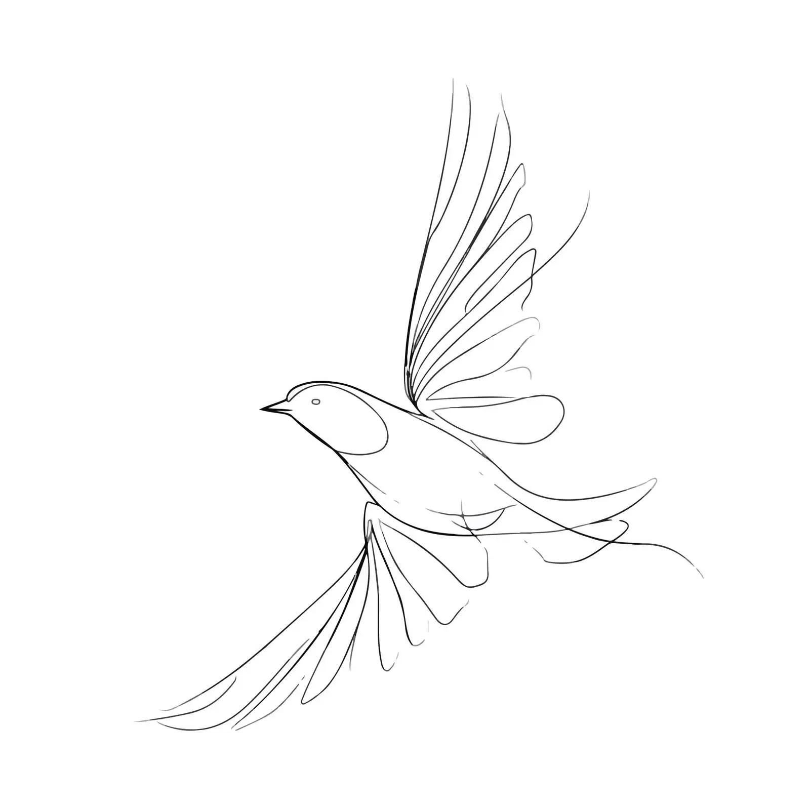 Minimal Bird Line Art Illustration — free download from Dotvec