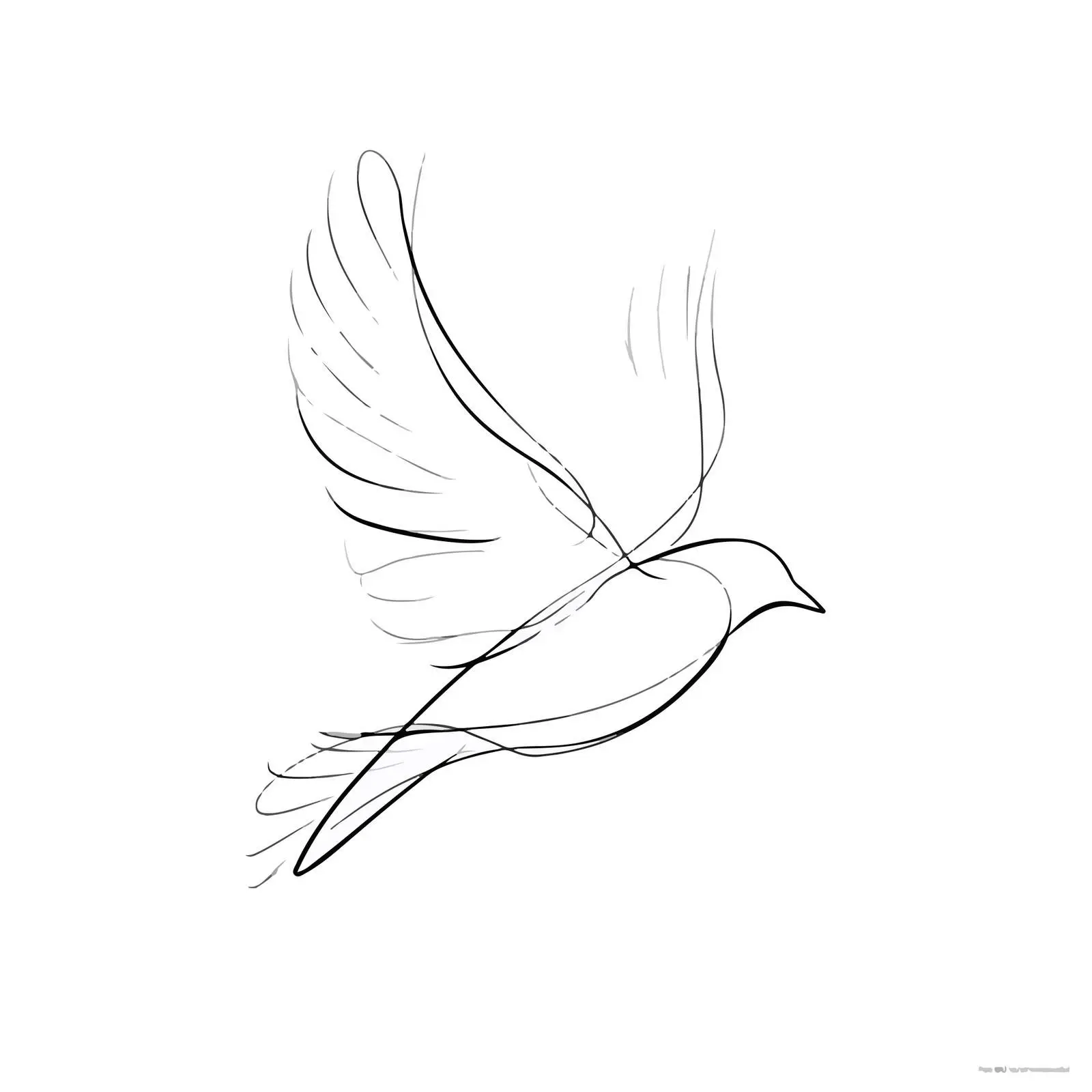 Minimal Bird Line Art Illustration — free download from Dotvec