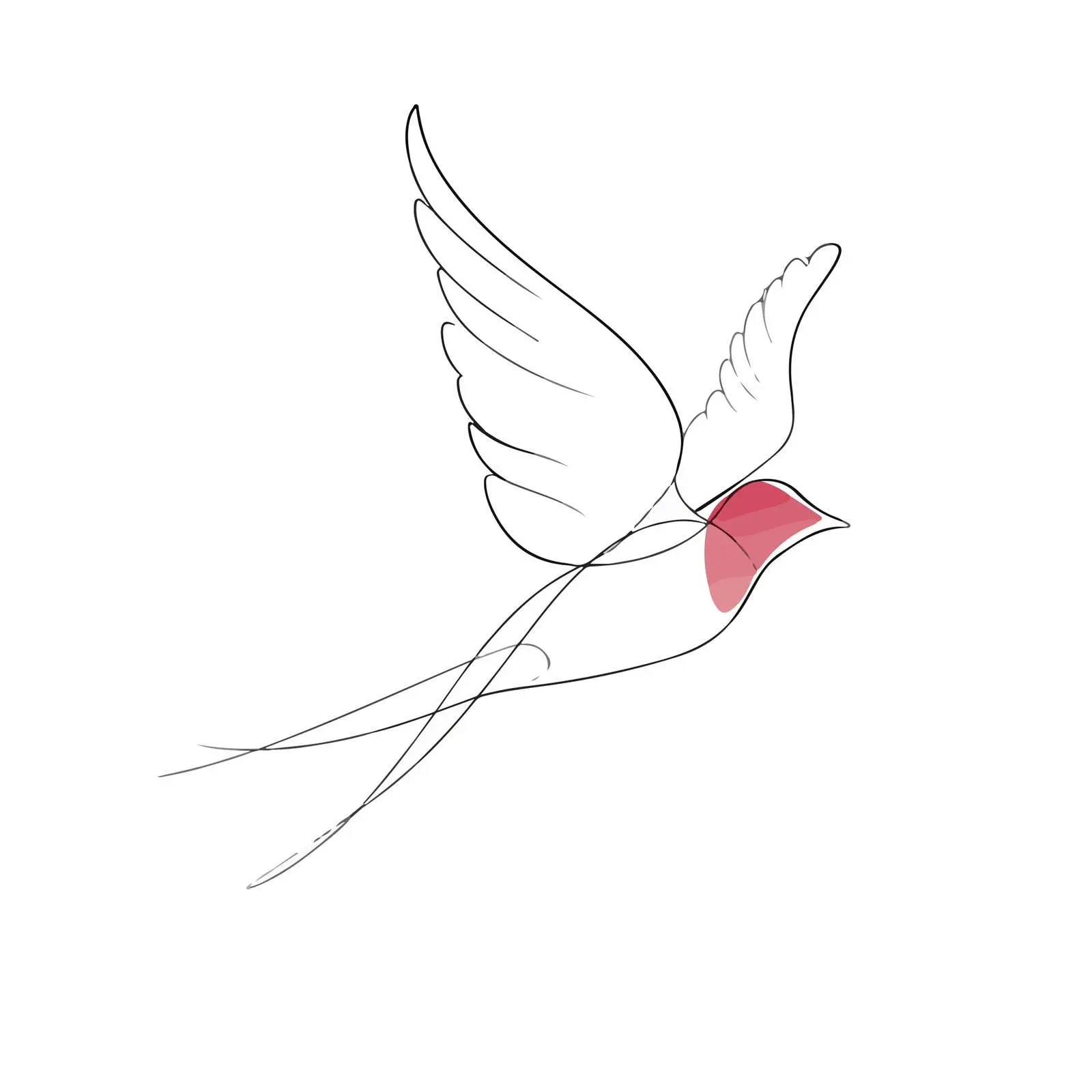 Minimal Bird Line Art Illustration — free download from Dotvec