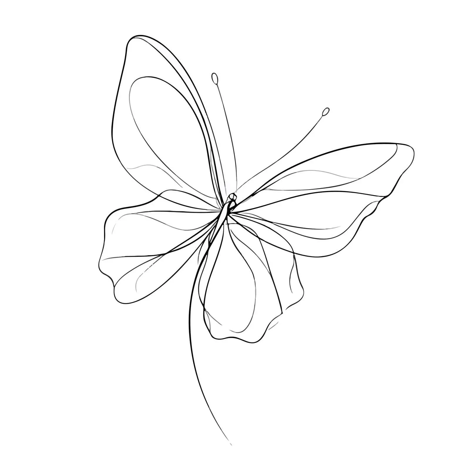 Butterfly Continuous Line Art Abstract — free download from Dotvec